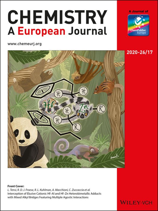 Chemistry 2020 volume 26 issue 17