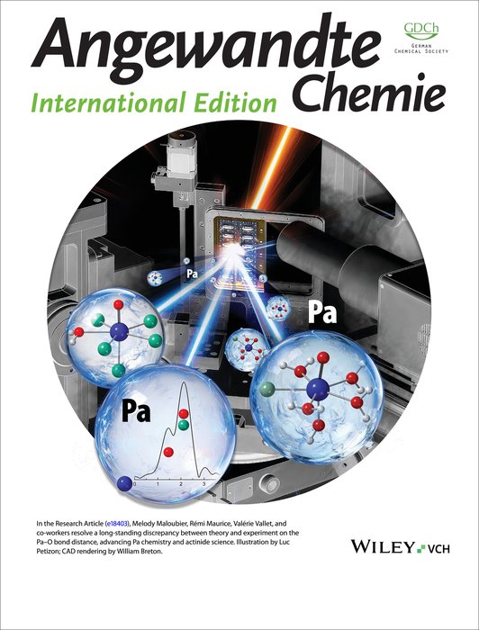 anie71524-gra-0001-m